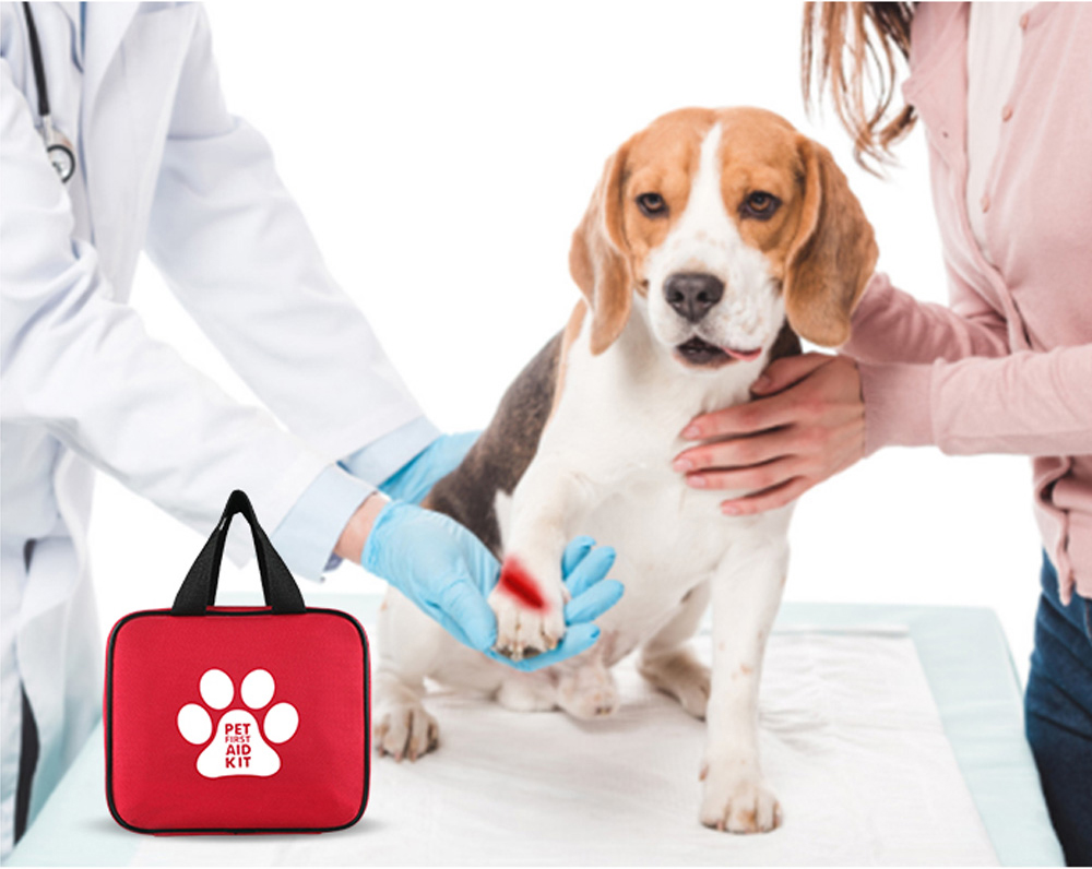 爱宠急救箱里必备配件有哪些您知道吗？